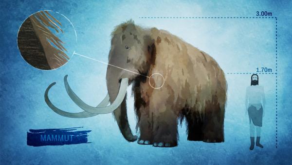 Bild 1 von 15: Das Mammut: Der Fleischkoloss von bis zu acht Tonnen war bestens gegen Kälte gewappnet, starb aber trotzdem während der letzten Eiszeit aus.