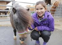 Anna und die Haustiere