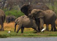 Stadt Land Kunst Spezial