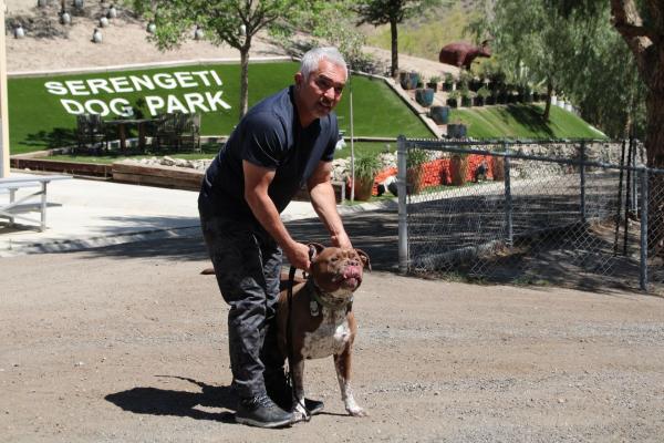 Bild 1 von 4: Cesar Millan