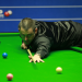 Snooker