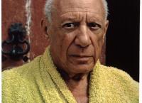 Picasso