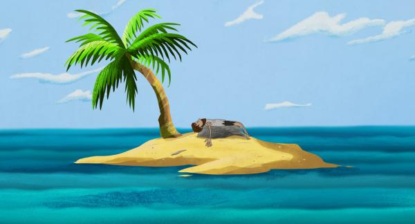Bild 1 von 1: Ein ostdeutscher Schiffbrüchiger wird auf einer tropischen Insel angespült.