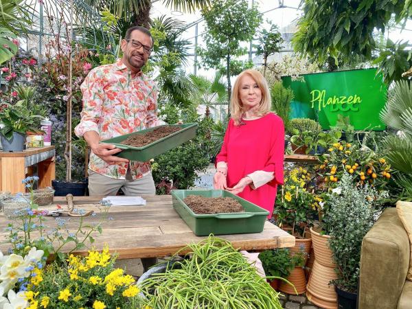 Bild 1 von 1: Im Bild: Karl Ploberger, Gerda Rogers.