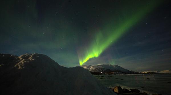 Bild 1 von 2: 
