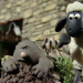 Shaun das Schaf
