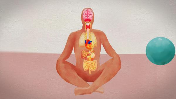 Bild 1 von 4: Der Vagusnerv entspringt im Gehirn. Seine Fasern führen in die meisten Bauchorgane. Er agiert wie ein Sprachrohr zwischen Körper und Gehirn.