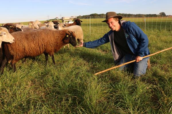 Bild 1 von 3: Checker Tobi mit den Schafen