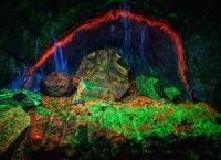 Geheime Welten - Reise in die Tiefe