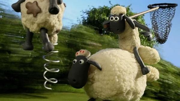 Bild 1 von 6: Timmy ist nicht zu stoppen. Kann Shaun ihn mit dem Netz fangen?