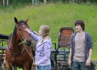 Heartland - Paradies für Pferde