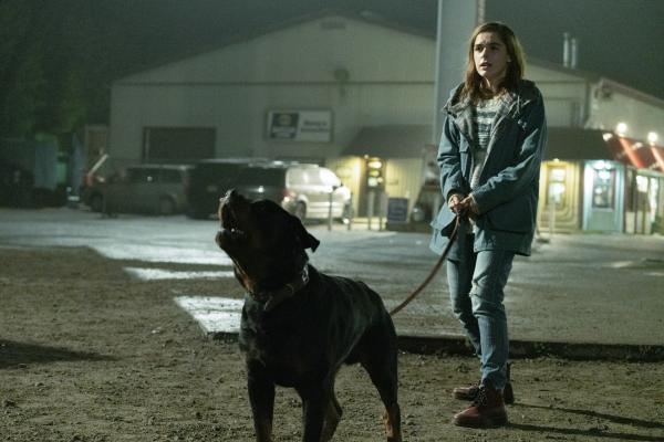 Bild 1 von 8: Ally Andrews (Kiernan Shipka)