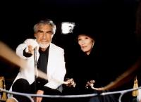 Das Erbe der Guldenburgs