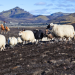 360° Geo Reportage