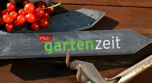Bild 1 von 1: Logo
