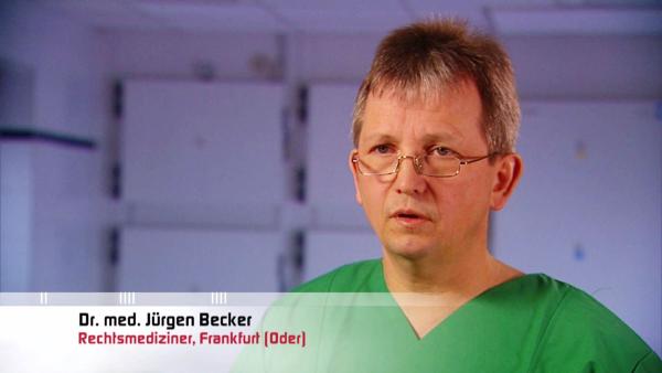 Bild 1 von 6: 