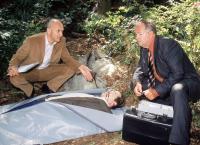 Im Namen des Gesetzes