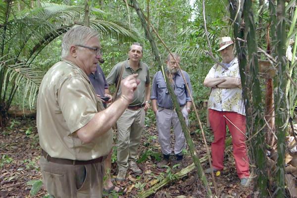 Bild 1 von 2: In Französisch-Guayana weisen Archäologen nun nach, dass das Amazonasbecken in Wirklichkeit gar nicht so unberührt war. Ihre Forschungen haben ergeben, dass das Gebiet dicht besiedelt war, und zwar von Menschen, die das Land bestellt und genutzt haben.
