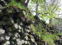 Bayerns Naturdenkmäler