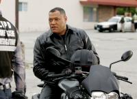 CSI: Den Tätern auf der Spur