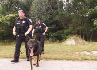 Medical Detectives - Geheimnisse der Gerichtsmedizin