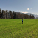 Bild 13