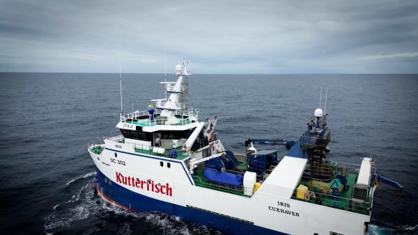 Bild 1 von 1: Sendungsbild