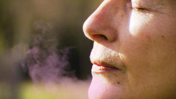 Bild 1 von 5: Wien, die Stadt der Düfte, erzählt ihre Geschichte durch die Nase.