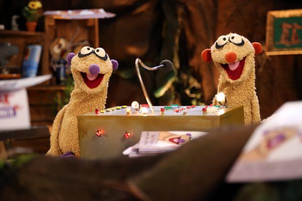 Bild 1 von 6: Die Erdmännchen Jan & Henry sind erleichtert.