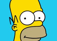 Die Simpsons