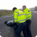 Auf Streife - Die Spezialisten