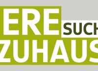 Tiere suchen ein Zuhause - Reportage