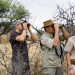 Safari