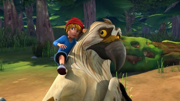 Bild 1 von 7: Nils und Gorgo sind ein Team bei der großen Gänseprüfung.