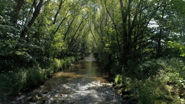 Bild 1 von 4: Das Flüsschen Steinach in Oberfranken.