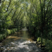 An der oberfränkischen Steinach