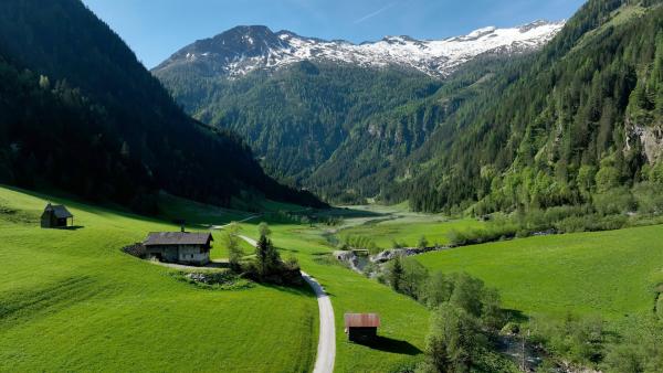 Bild 1 von 16: .