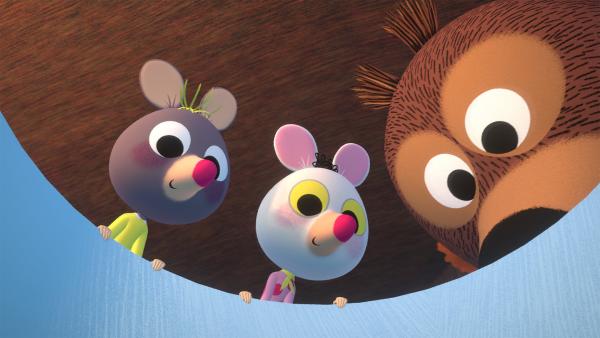 Bild 1 von 1: Polka und Hortensia haben sich bei Baldur in der Kastanie einquartiert.© hr/MIAM! Animation - Honorarfreie Verwendung gemäß AGB im engen inhaltlichen redaktionellen Zusammenhang mit genannter Sendung bei Nennung \