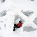 Alltagsflucht: Finnland - Lappland im Winter
