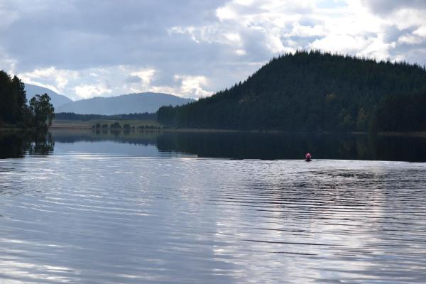 Bild 1 von 2: 