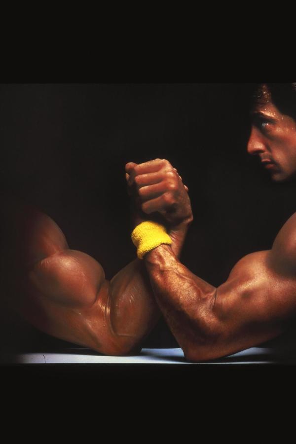 Bild 1 von 4: Lincoln Hawk (Sylvester Stallone)