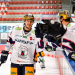 Eishockey Live - DEL