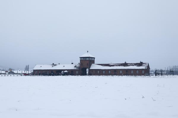 Bild 1 von 7: 