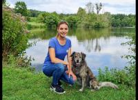 Der Hundeprofi - Rütters Team