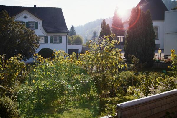 Bild 1 von 9: .