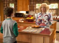 Die Goldbergs