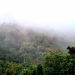Honduras