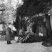 Inside Hitler - Familiengeheimnisse