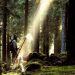 The Huntsmen