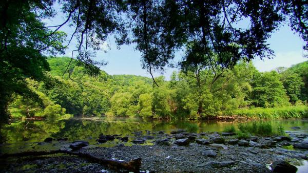 Bild 1 von 9: Im Bild: Nationalpark Thayatal.